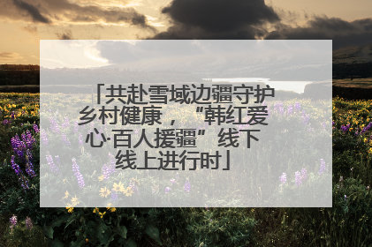 共赴雪域边疆守护乡村健康，“韩红爱心·百人援疆”线下线上进行时