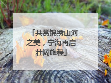 共赏锦绣山河之美，宁海再启壮阔旅程