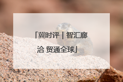 冀时评｜智汇廊洽 贸通全球