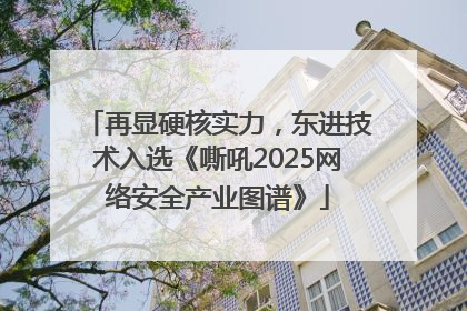 再显硬核实力，东进技术入选《嘶吼2025网络安全产业图谱》