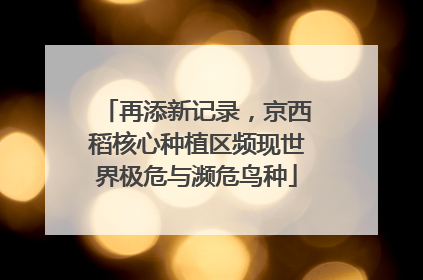 再添新记录，京西稻核心种植区频现世界极危与濒危鸟种