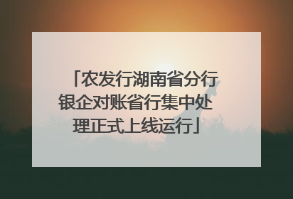 农发行湖南省分行银企对账省行集中处理正式上线运行