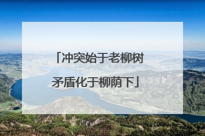 冲突始于老柳树 矛盾化于柳荫下