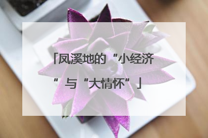 凤溪地的“小经济”与“大情怀”