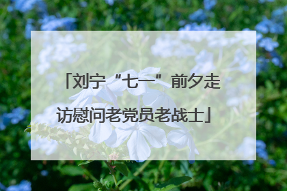 刘宁“七一”前夕走访慰问老党员老战士