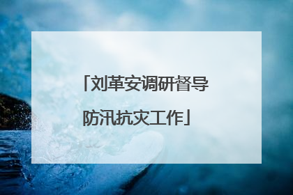 刘革安调研督导防汛抗灾工作