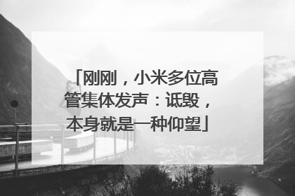 刚刚，小米多位高管集体发声：诋毁，本身就是一种仰望