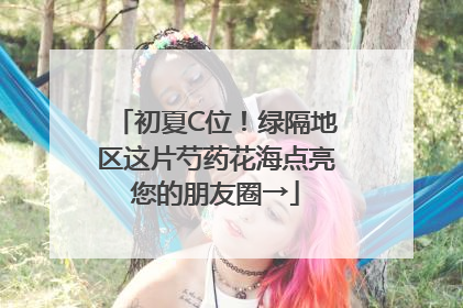 初夏C位！绿隔地区这片芍药花海点亮您的朋友圈→