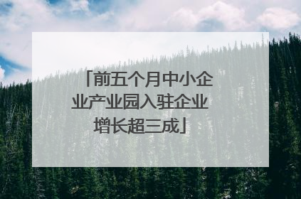 前五个月中小企业产业园入驻企业增长超三成