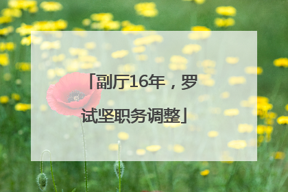 副厅16年，罗试坚职务调整