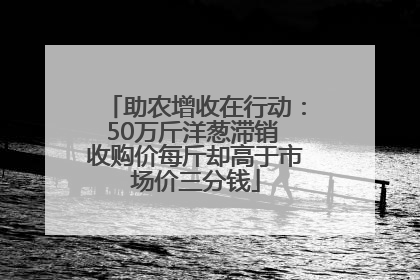 助农增收在行动：50万斤洋葱滞销 收购价每斤却高于市场价三分钱