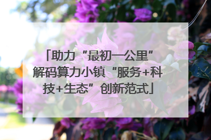 助力“最初一公里” 解码算力小镇“服务+科技+生态”创新范式