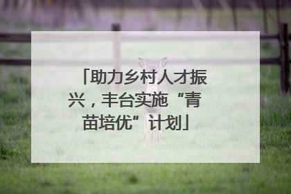 助力乡村人才振兴，丰台实施“青苗培优”计划