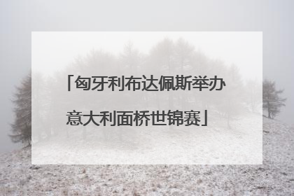 匈牙利布达佩斯举办意大利面桥世锦赛