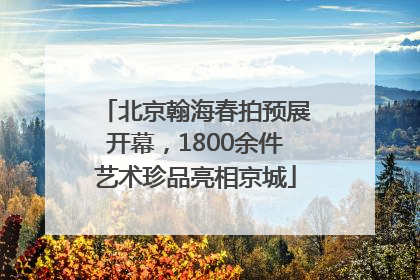 北京翰海春拍预展开幕，1800余件艺术珍品亮相京城
