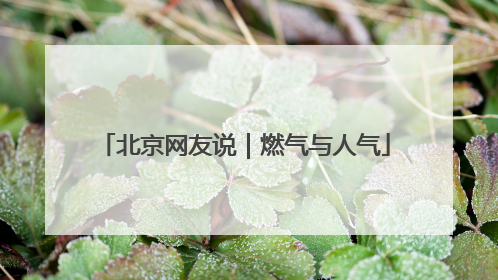 北京网友说｜燃气与人气