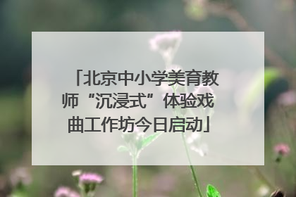 北京中小学美育教师“沉浸式”体验戏曲工作坊今日启动