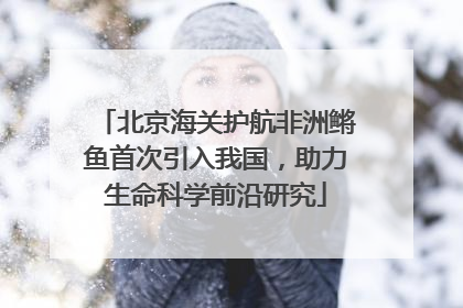 北京海关护航非洲鳉鱼首次引入我国，助力生命科学前沿研究