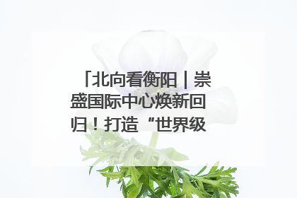 北向看衡阳｜崇盛国际中心焕新回归！打造“世界级美食主题公园”