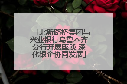 北新路桥集团与兴业银行乌鲁木齐分行开展座谈 深化银企协同发展