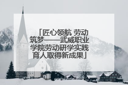 匠心领航 劳动筑梦——武威职业学院劳动研学实践育人取得新成果