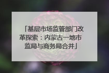 基层市场监管部门改革探索：内蒙古一地市监局与商务局合并