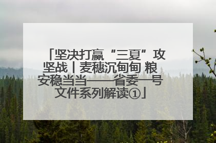 坚决打赢“三夏”攻坚战丨麦穗沉甸甸 粮安稳当当——省委一号文件系列解读①