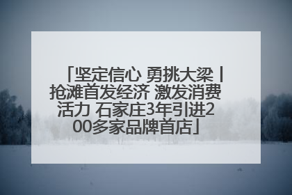 坚定信心 勇挑大梁丨抢滩首发经济 激发消费活力 石家庄3年引进200多家品牌首店