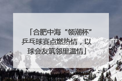 合肥中海“领潮杯”乒乓球赛点燃热情，以球会友筑邻里温情