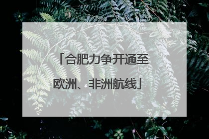 合肥力争开通至欧洲、非洲航线