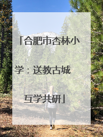 合肥市杏林小学：送教古城 互学共研