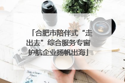 合肥市陪伴式“走出去”综合服务专窗护航企业扬帆出海