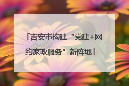 吉安市构建“党建+网约家政服务”新阵地