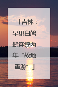 吉林：罕见白鸬鹚连续两年“故地重游”