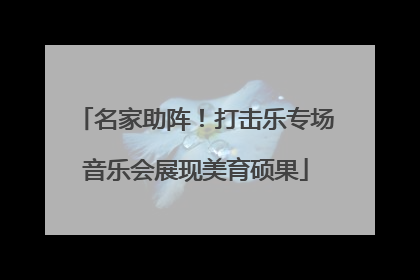 名家助阵！打击乐专场音乐会展现美育硕果