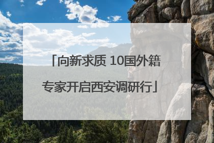 向新求质 10国外籍专家开启西安调研行