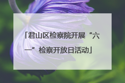 君山区检察院开展“六一”检察开放日活动