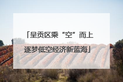 呈贡区乘“空”而上 逐梦低空经济新蓝海
