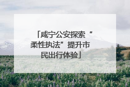 咸宁公安探索“柔性执法”提升市民出行体验