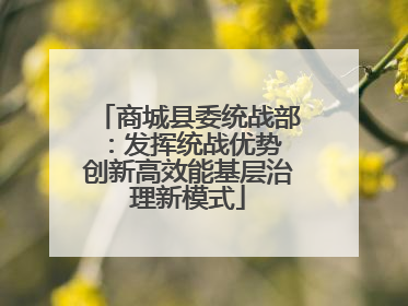商城县委统战部：发挥统战优势 创新高效能基层治理新模式