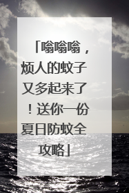 嗡嗡嗡，烦人的蚊子又多起来了！送你一份夏日防蚊全攻略