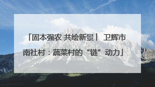 固本强农 共绘新景 ︳卫辉市南社村：蔬菜村的“链”动力