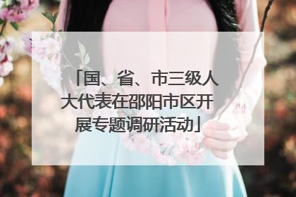 国、省、市三级人大代表在邵阳市区开展专题调研活动