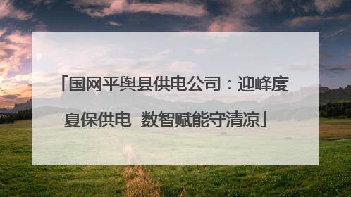 国网平舆县供电公司：迎峰度夏保供电  数智赋能守清凉