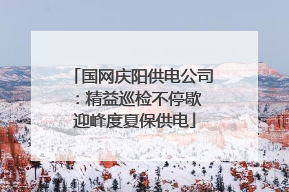 国网庆阳供电公司：精益巡检不停歇 迎峰度夏保供电