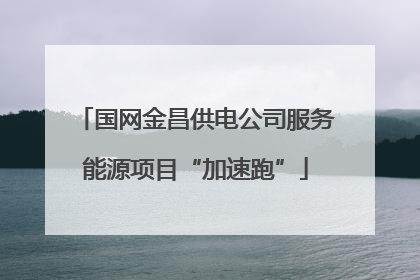 国网金昌供电公司服务能源项目“加速跑”