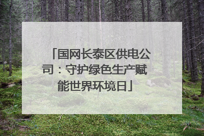 国网长泰区供电公司：守护绿色生产赋能世界环境日