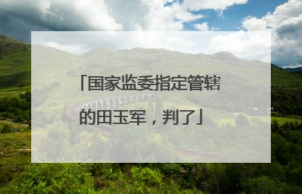 国家监委指定管辖的田玉军，判了