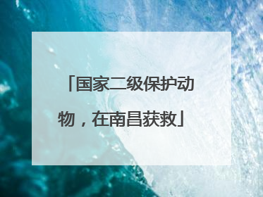 国家二级保护动物，在南昌获救