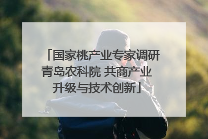 国家桃产业专家调研青岛农科院 共商产业升级与技术创新